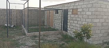 Torpaq sahələrinin satışı: 10 sot, Tikinti, Mülkiyyətçi, Kupça (Çıxarış) — 5