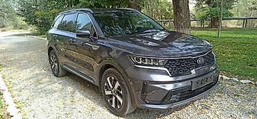 0 25: Kia Sorento: 2020 г., 2.2 л, Автомат, Дизель, Кроссовер — 3