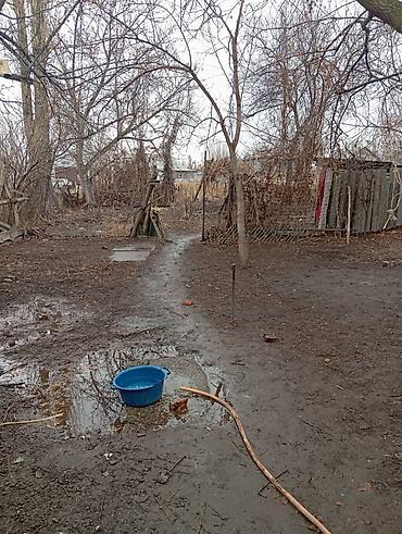 Шлакоблок: Дом из шлакоблока с односкатной крышей из волнистых листов. Стены — 9