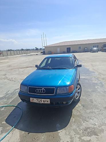 газ фильтр соната: Audi 100: 1992 г., 2.6 л, Механика, Газ, Седан — 5