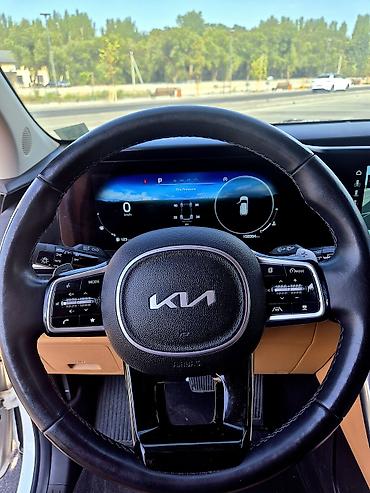 кабан 124: Kia Carnival: 2022 г., 2.2 л, Автомат, Дизель, Минивэн — 9