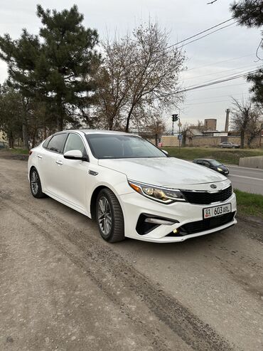 Kia: Kia Optima: 2019 г., 1.6 л, Робот, Бензин, Седан