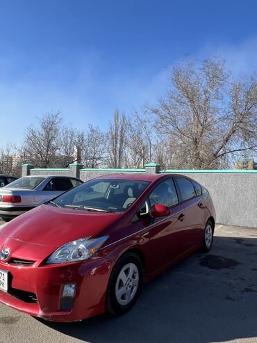 eva: Toyota Prius: 2011 г., 1.8 л, Автомат, Гибрид, Хэтчбэк