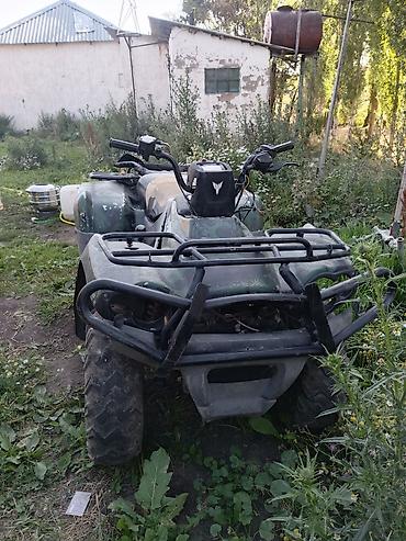 Квадроциклы: Квадроцикл Бензин, 420 куб. см, Взрослый — 1