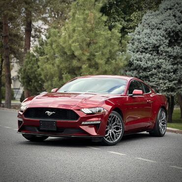 Ford: Ford Mustang: 2017 г., 2.3 л, Автомат, Бензин