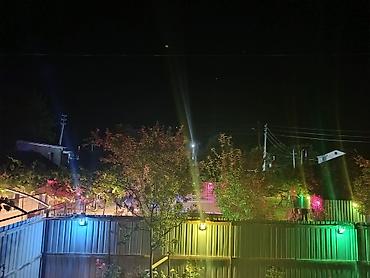 heserat yeyen bitkiler: Ancag aileuçun bosh bekar adamlar narat etmesin etrafli melumaticin — 10