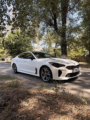 кия шума2: Kia Stinger: 2019 г., 3.3 л, Автомат, Бензин, Лифтбек — 10