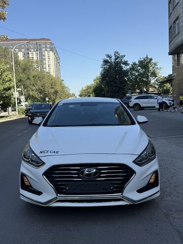 фары на нексии: Hyundai Sonata: 2019 г., 2 л, Автомат, Газ, Седан