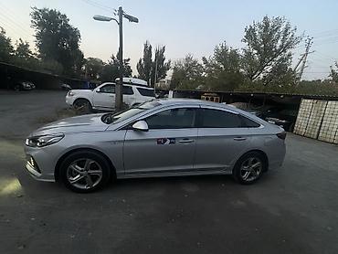 byd han: Hyundai Sonata: 2021 г., 2 л, Автомат, Газ, Седан — 8