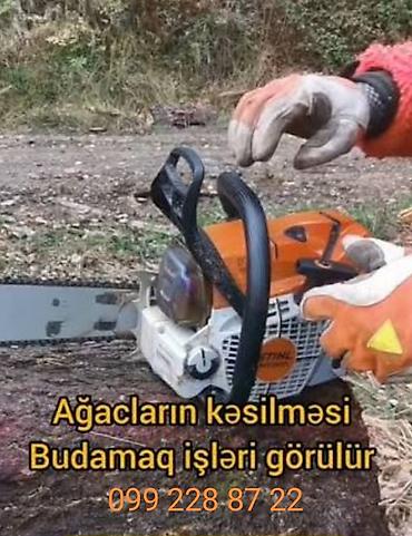 meşə şəkli çəkmək: Xidmət: Ağacların kəsilməsi, budanması və ot/kol örtüyünün — 1