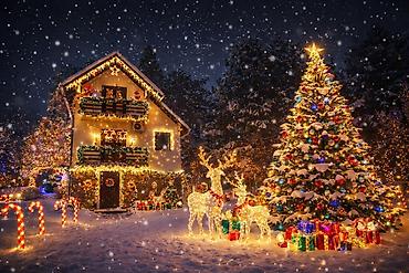 Kuća na dan: Božićno dekorisana planinska kuća za odmor - Porodična kuća sa — 1