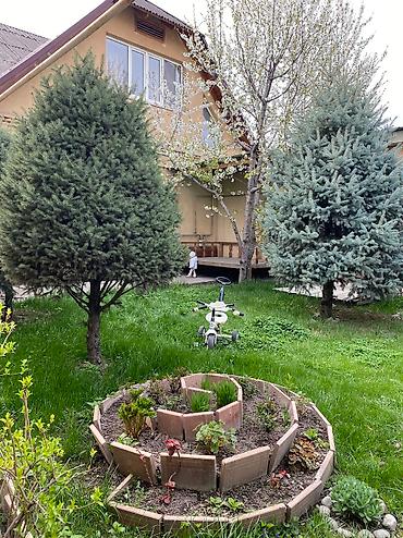 сыдыков: 🏠 Дом в центре под жилье или бизнес!* Продается капитальный дом в — 9