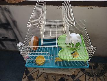 Hamster üçün tam dəst qəfəs uzunluqu 55 sm hündürlük 45 sm eni 30 sm