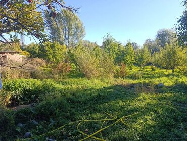 Продажа домов: Дом, 55 м², 3 комнаты, Собственник at lalafo.kg — 7 Продажа домов: Дом, 55 м², 3 комнаты, Собственник — 7