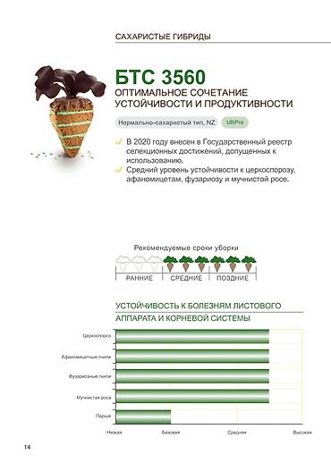 Свёкла: 10+1 акция срочно Семена Сахарной свеклы компании Beta Seed 2025 — 11
