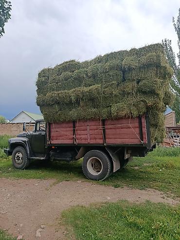 афган кой: Сено в тюках - Прессованные прямоугольные тюки травяного сена - — 1
