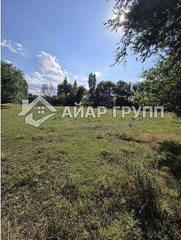 ысык куле: 40 соток, Курулуш — 2