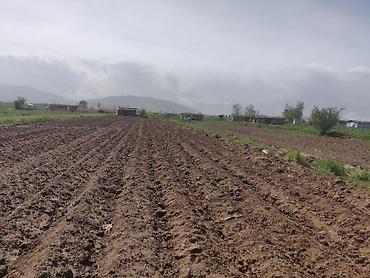 Куплю земельный участок: 10 соток — 5