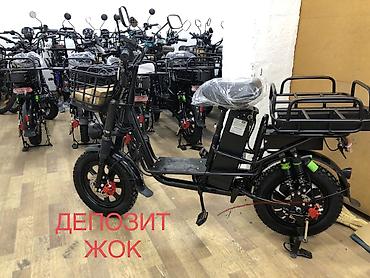 Аренда велосипедов: Аренда велосипеда, Электровелосипед — 1