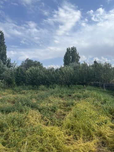 Продажа домов: Дом, 500 м², 6 комнат, Собственник, ПСО (под самоотделку) — 17