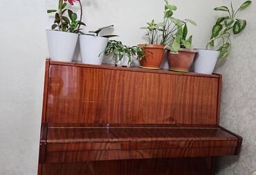 электронное пианино купить бу: Продается пианино в хорошем качестве