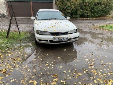 хонда аккорд купить: Honda Accord: 1997 г., Автомат, Универсал