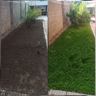 Дизайн, проектирование: Сеем газоны Установка автополива Установка капельного полива Услуги — 8