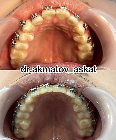 Медицинские услуги: Врачи | Стоматолог | Консультация — 2