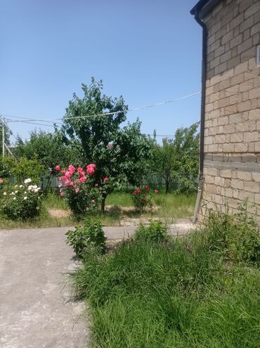 Həyət evləri və villaların satışı: Satış üçün həyət evi Quba 5 sot - Tikinti materialı: daş divarlar — 2