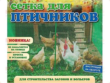 сетки для лука: Другие удобства для дома и сада — 9