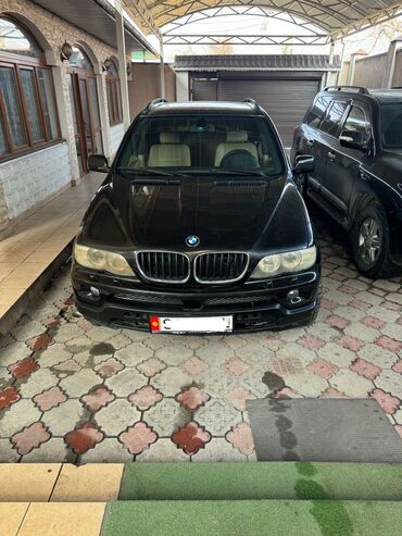 штукатурная машина: BMW X5: 2004 г., 3 л, Автомат, Бензин, Внедорожник