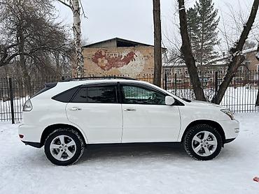 Lexus: Lexus RX: 2004 г., 3.3 л, Автомат, Бензин, Кроссовер — 12