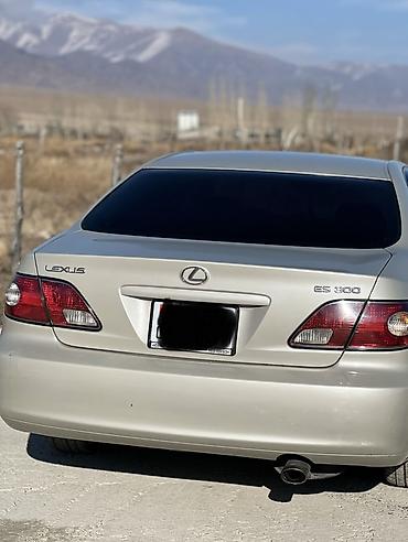 Lexus: Lexus ES: 2003 г., 3 л, Автомат, Газ, Седан — 1