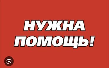 султан чай оптом бишкек цена: Кайрымдуу кыргыз элимден жардам сурайм, Ата Энем жок, куйом карабай