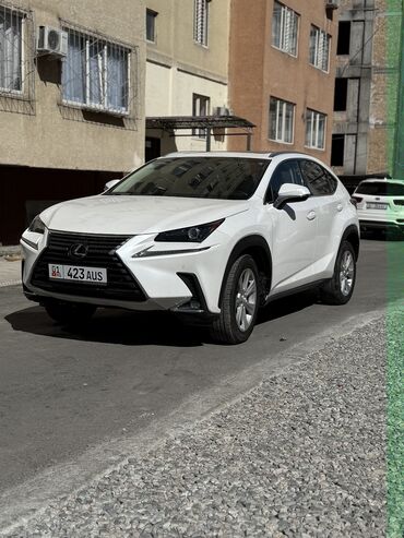 шины на lx570: Lexus NX: 2019 г., 2 л, Автомат, Бензин, Кроссовер