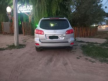 морда рекс: Hyundai Santa Fe: 2008 г., 2 л, Автомат, Дизель, Кроссовер — 10