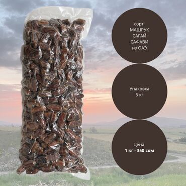 древесина ореха цена: Финики, Срочно, Распродажа сорт Машрук и Сагай крупный упаковка по