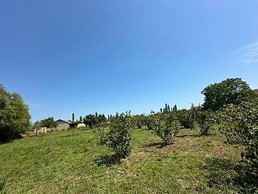seki torpaq: 20 sot, Tikinti, Mülkiyyətçi, Kupça (Çıxarış) — 2