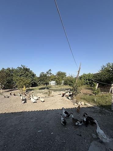 Torpaq sahələrinin satışı: 25 sot, Tikinti, Mülkiyyətçi, Kupça (Çıxarış) — 15