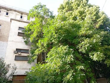продаю 1 комнатный квартиру: 1 комната, 35 м², 105 серия, 1 этаж, Свежий ремонт