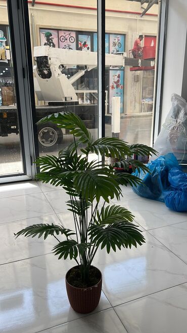 Süni güllər: 🌸 İstədiyiniz dibçəyi, istədiyiniz ölçüdə yığırıq! 🏡 Evlər, ofislər -da lalafo.az — 24 Süni güllər: 🌸 İstədiyiniz dibçəyi, istədiyiniz ölçüdə yığırıq! 🏡 Evlər, ofislər — 24