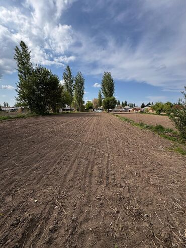 арча бешик уй сатылат: Дом, 29 м², 5 комнат, Собственник, Старый ремонт