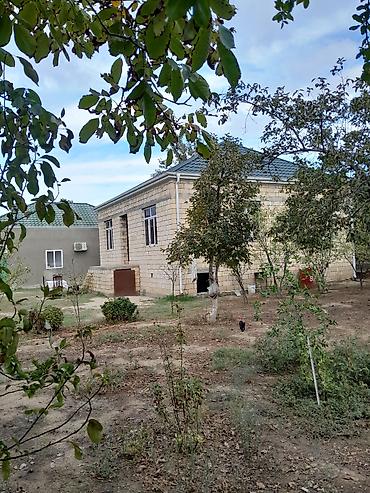 ev alq: 6 otaqlı, 175 kv. m, Kredit yoxdur, Orta təmir — 5