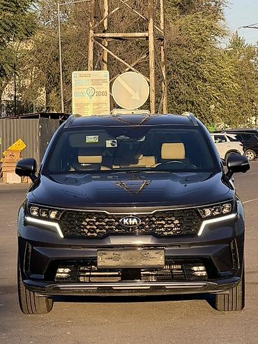 100: Kia Sorento: 2020 г., 1.6 л, Автомат, Гибрид, Кроссовер — 2