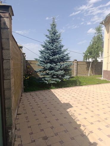 Продажа домов: Дом, 280 м², 4 комнаты, Риэлтор, Косметический ремонт — 2