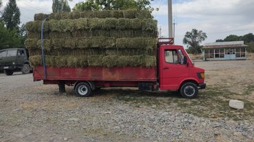 Легкий грузовой транспорт: Легкий грузовик, Mercedes-Benz, Стандарт, 3 т, Б/у