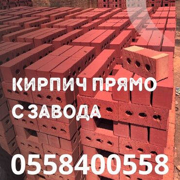 туя бишкек цена: Тешиктүү, Бышкан кирпич, Жарым блок, 250×120×90