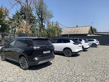 Tesla: Tesla : 2022 г., Электромобиль, Кроссовер — 4