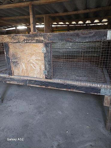 Птицы: Продаю Клетки для Птицы, Цыплят, Кроликов, Нутрий крепкие из — 11