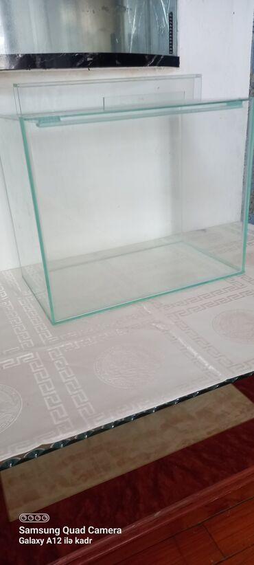 Akvariumlar: Salam isdənilən ölçüdə akvarium və terarium hazırlayıram aqama su — 19